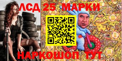 шишки Будённовск