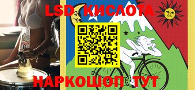 шишки Будённовск