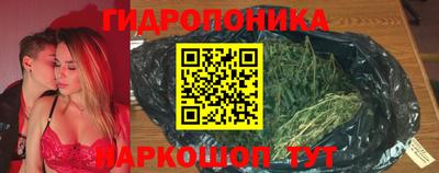 шишки Будённовск
