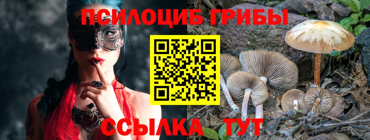 Лянтор  что такое   Псилоцибиновые грибы GOLDEN TEACHER  Вход с VPN  Псилоцибиновые грибы Cubensis 